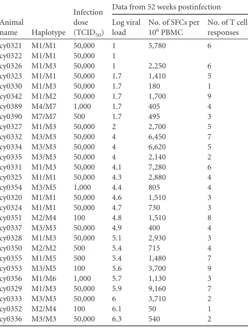 TABLE 1 Animals used in study, ordered by plasma viral load