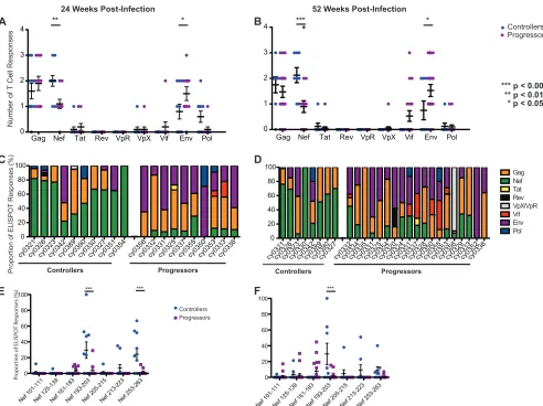 FIG 3 The number and magnitude of T cell responses to Nef peptides during chronic infection differ between controllers and progressors