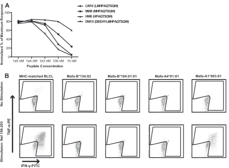 FIG 4 Identiﬁcation of the Nef 196-203 HW8 epitope. (A) MHC-matched BLCLs were pulsed with serial dilutions of prospective optimal peptides andcocultured with a Nef 196-203 HW8-speciﬁc T cell line