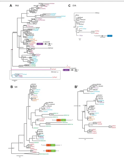 Figure 1 (See legend on next page.)