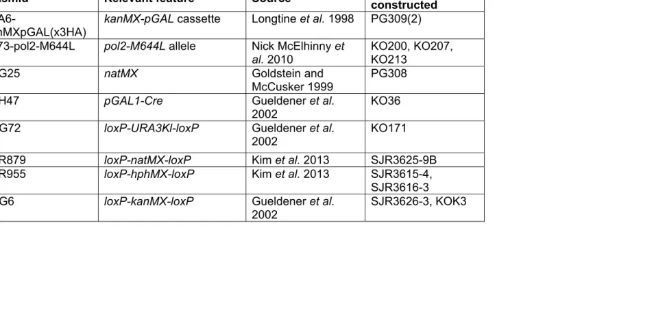 Table S2.  Plasmid list 