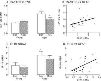 Fig. 5. RANTES (A) and IP-10 (C) mRNA were signiﬁcantly increased in hippocampal tissue prepared from aged, compared with young, rats (*pGFAP (n** � 0.05;p � 0.01; ANOVA); the age-related increase in RANTES mRNA was signiﬁcantly attenuated in tissue prepar