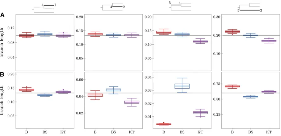 Figure 4 Inference of divergence times for the chimpanzee exome data. The ﬁgure shows box plots summarizing the inferred lengths using 50 data setswith 10,000 SNPs that were randomly sampled from the full data set