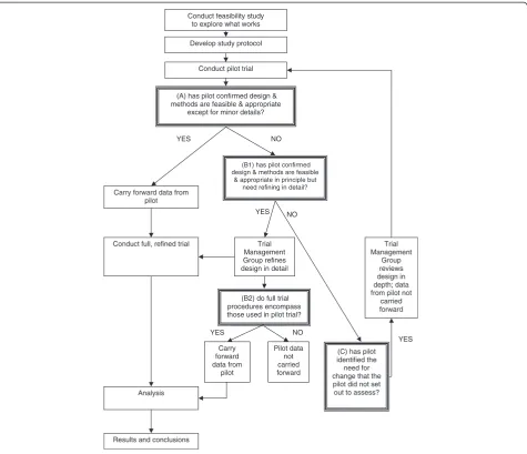 Figure 1 Flow chart of decision points in pilot trials.