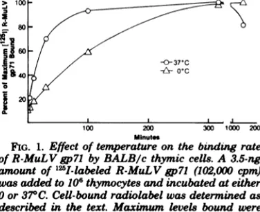 FIG. 1.ofamountwas3,693described0point or R-MuL Effect of temperature on the binding rateV gp71 by BALB/c thymic cells
