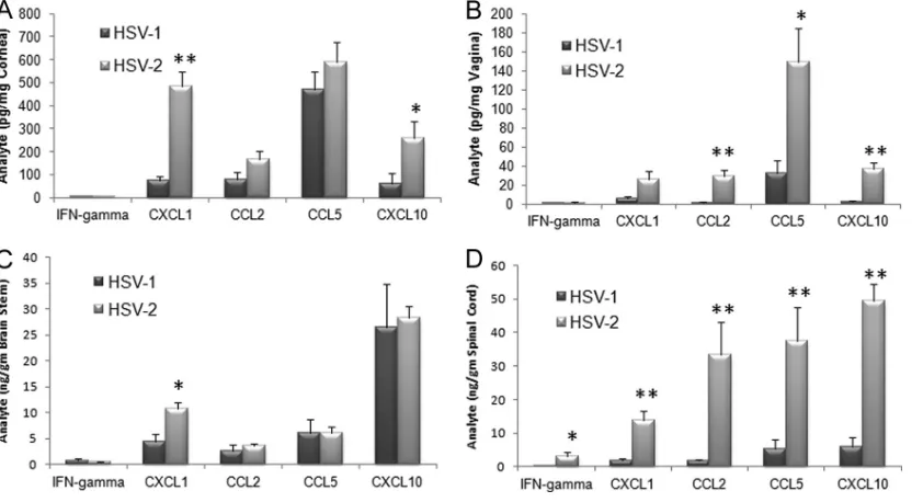 FIG 4 Chemokine expression levels in mice genitally infected with HSV-2 correlate with viral titer