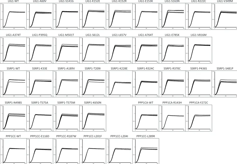 Figure S1. Growth curve replicates of wild-type yeast (BY4742) expressing indicated human cDNAs in –Leu media at 30°C