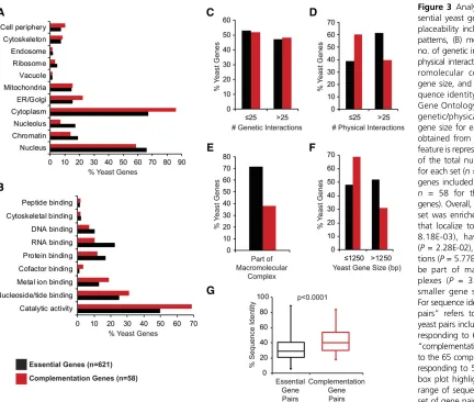 Figure 3 Analyzing features of es-be part of macromolecular com-plexes (smaller gene size (For sequence identity,pairsyeast pairs included in this study cor-responding to 621 yeast genes and“to the 65 complementation pairs cor-responding to 58 yeast genes