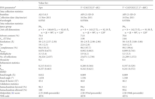 TABLE 1 Crystallographic statistics for HCV NS5B 2a JFH1 �8 apo and RNA-bound structuresa