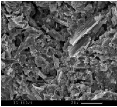 Fig. 1  Micrograph of pitchcoke graphite(produced by Shahed Bhagga-Fazluddin)