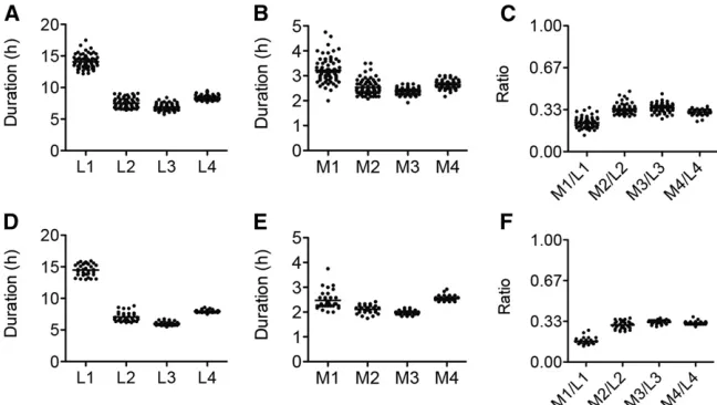 Figure 2 Quantitative analysis of the developmen-tal program of C. elegans at 21.5� based on lumi-nescence