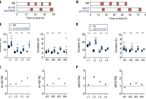 Figure 3 Developmental timing in lin-42 (ok2385) and daf-2 (e1370) mutants. (A) Average duration of development for N2 (n = 37) and lin-42 (n = 33)at 21.5�