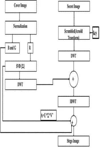 Fig 1: Shows the Proposed Dual Transform Steganography Method- Encoding(DTSM) 