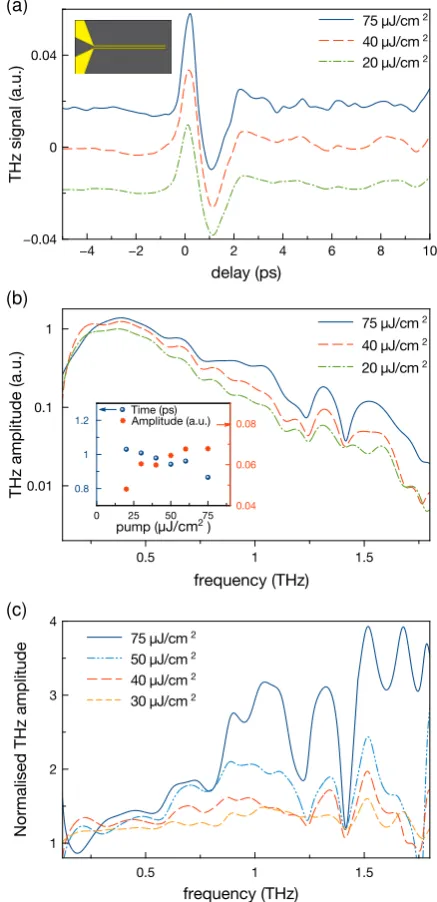 Figure 5 THz signal generated in the QD PCA pumped with a