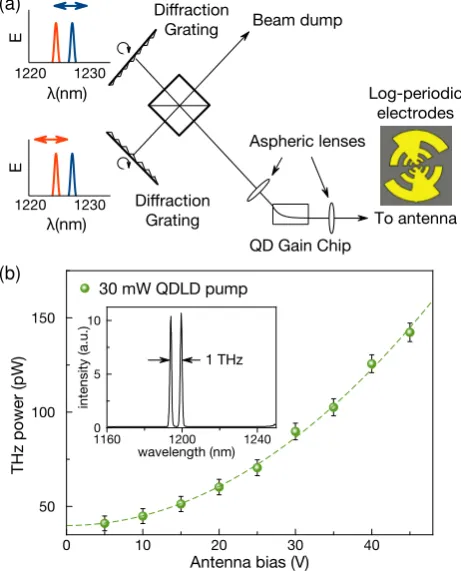 Figure 6 (a) QD LD in the double-Littrow conﬁguration ; (b) CWTHz intensity from 5 µm gap log-periodic QD PCA pumped bythis laser, measured by low-temperature bolometer