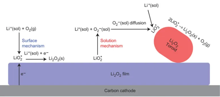 Figure 1.5: Growth mechanisms of Li2O2. Adapted from [25].