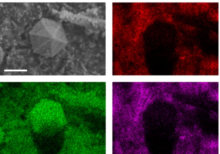 Figure 2.9: Elemental map of oxygen cathode after full cycle, taken with EDS.(grayscale) Electron micrograph (scale bar: 2 µm) with (red) carbon and (green)oxygen of a Super P carbon cathode following ~1400 mAh/g discharge and chargeto 3.0 V cutoﬀ under oxygen.