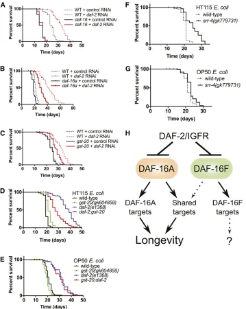 Figure 7 DAF-16A-specidown-regulated target geneity inE. coligrown onlongevity in animals grown on HT115 (F)but does not ingrown on OP50 (G)
