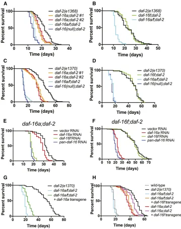 Figure 3 Effects of16f daf-16a- and daf--speciﬁc mutations, RNAi, and single-copy transgenic rescues on daf-2/IGFRlife span