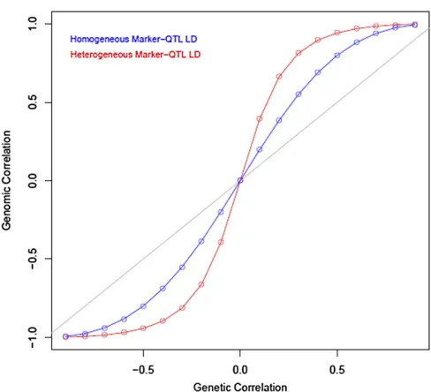 Figure 3 Genomic vs. genetic correlation in the system described by case 4.