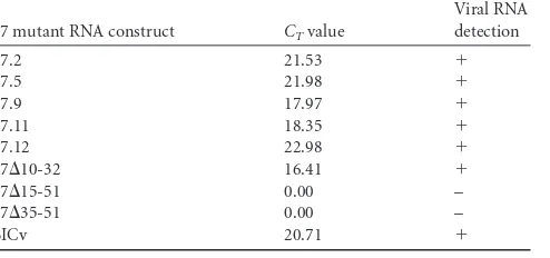 TABLE 1 Detection of viral genomic RNA using real-time RT-PCR inextracts from SK6 cells transfected with p7 mutant constructs that donot yield viral progeny