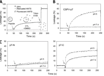 FIG 5 Pore-forming activity of BICv p7 protein and derived peptides as detected by the ANTS-DPX assay