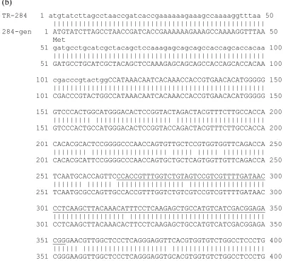 Figure 4. Predicted translation of TR-284 (a) and sequence alignment (b) of the recovered 