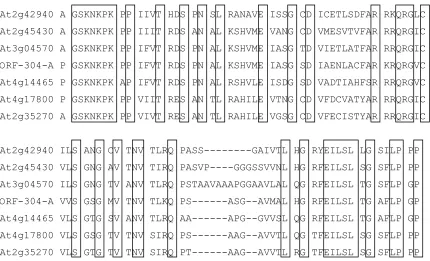 Figure 6. Sequence alignment of the primary structure of ORF-304-A and six representative 