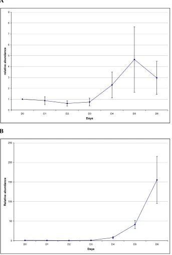 Figure 9. Relative abundances of TR-284 and TR-304-A transcripts during adventitious root 