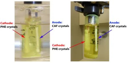 Figure 5. Concentrations and solubility at 15°C and 30°C of PHE and CAF in all experiments