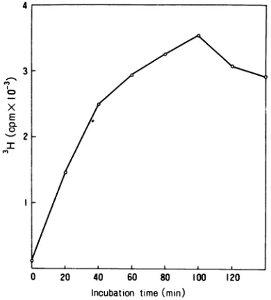 TABLE 1. Requirements for DNA synthesis with theviral DNA replication complex