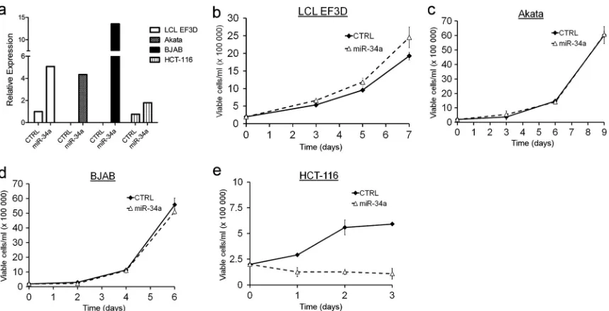 FIG 6 Canonical miR-34a growth control targets are poorly expressed inLCLs relative to HCT-116 cells