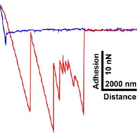 Figure 6.1-4. A single representative F-D curve showing multiple ‘jumps’ on the retract 