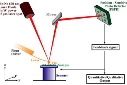 Figure 2.1-1. The path of the laser in a typical AFM instrument reflecting off the cantilever, mirror and onto the detector