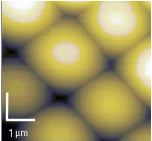 Figure 2.1-2. Reverse image of a 31 m bead revealing a clean surface. 