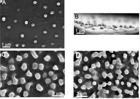 Figure 5.1-3. SEM images of a PDMS replica of the top (A) and side (B) view of the black 