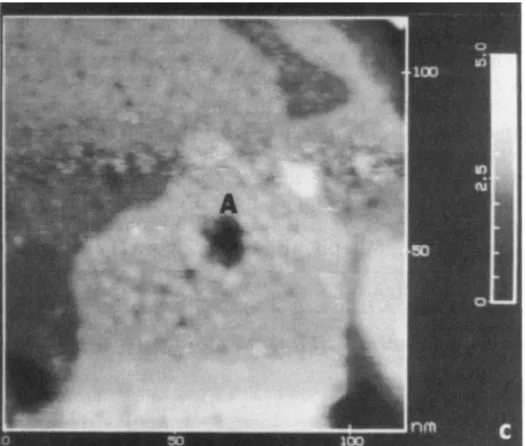 Figure 1.11.  STM image (120 x 120 nm) of a n-octadecanethiol SAMon gold after applying a 3 V bias and  1 nA pulse