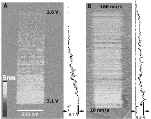 Figure 1.15.  STM images of FcC11gradients were formed with a z-scale of 5 nm, bias of 1 V, set point current of 8-10 pA, and scan rate of SAM by systematically varying replacement bias (A), or lithographic scan rate (B), while maintaining all section anal