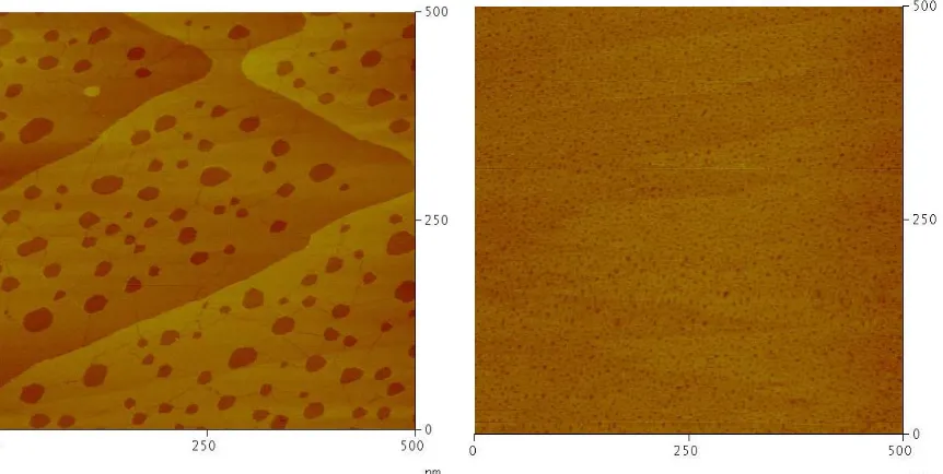Figure 2.7.  STM image of a dodecanethiol SAM made by immersing a gold bead in neat dodecanethiol (a) heated for 1 h at temperatures exceeding 100°C and (b) maintained at room temperature for 24 h