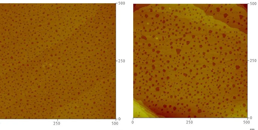 Figure 2.9.  STM image of lines composed of FcC11SAc written into a dodecanethiol SAM made from 0.01 mM solutions of the adsorbent in ethanol