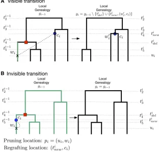 Figure 2 Schematic representation of SMCadd a new branchalescent timetions given a recombination breakpoint at locationing location along the green branches would have pro-have produced the same visible transition fromline)