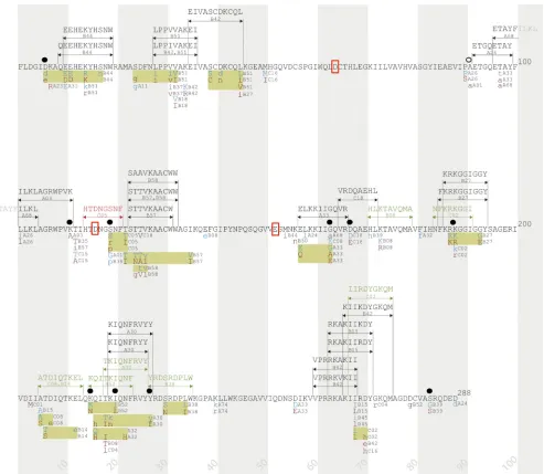 FIG 4 Integrase immune escape map. HLA-associated polymorphisms, known and predicted CTL epitopes, and mutations associated with reduced viralon an analysis of 1,317 antiretroviral-naïve, chronically infected individuals from cohorts in Canada, the United 