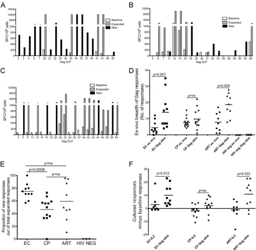FIG 1 Breadth and magnitude of expandable HIV Gag-speciﬁc T cell responses. IFN-� ELISpot data for one representative elite controller (A), chronicprogressor (B), and ART-treated person (C) before and after 12 days of stimulation