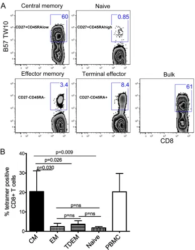 FIG 6 PBMC from three elite controllers were sorted by ﬂow cytometry into four different subsets based on their CD27 and CD45RA staining