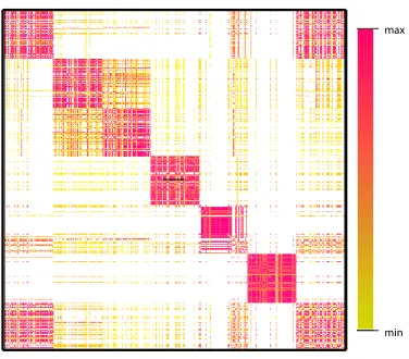 Figure 1.4: Heat Map of Similarity Matrix Exhibiting Cluster Structure