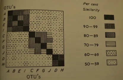 Figure 1.5: Matrix Heat Map Visualization from 1963 Book by Sokal and Sneath