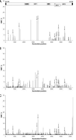 FIG 4 SNPs along the HEV genome. A schematic representation of the HEV genome is aligned at the top of the ﬁgure (see the legend of Fig