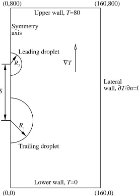 Figure 7: Schematics of the computational geometry and boundary conditions for the thermocapillary migration of two de-formable droplets.