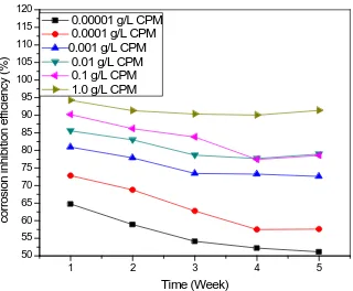 Figure 5. Variation of corrosion inhibition efficiency (%) with time (week) for the pseudo anaerobic corrosion inhibition of pipeline steel in petroleum pipeline water with various concentrations of Citrus paradise mesocarp extract