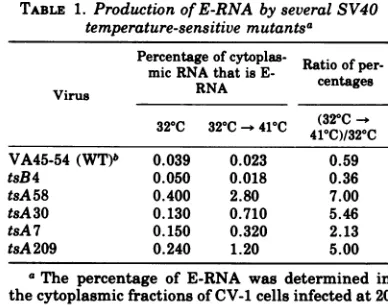 TABLE 1. Production ofE-RNA by several SV40temperature-sensitive mutantSa